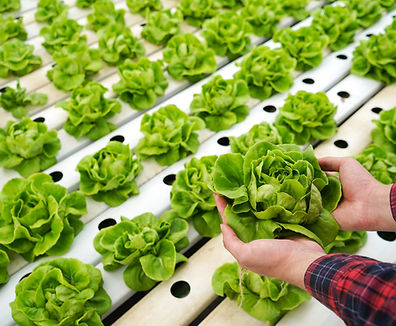 Race Flag