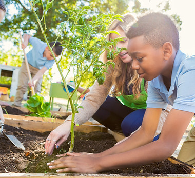 Community Gardening Activity