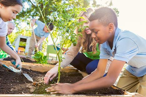 Community Gardening Activity