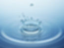 Water dropping onto a water surface creates a splash crown
