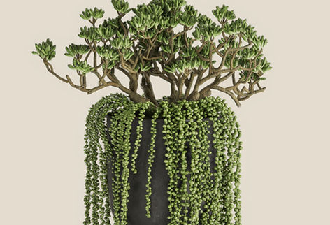 the feel good project - potted plant