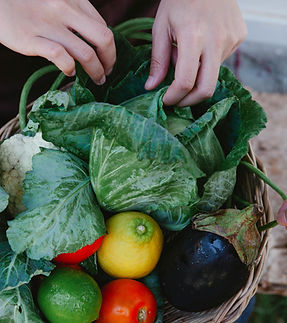 Panier de légumes