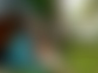 Beginner’s Guide to Wild Camping