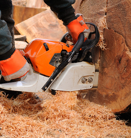 A tree-surgeon or logger using a chainsaw with full safety gear