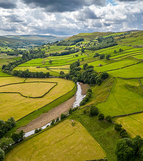 Сельский пейзаж