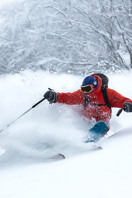 Chiropratique stoneham - sportifs