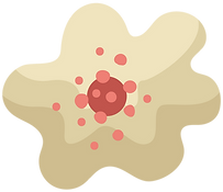 Cellule biologique