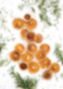 Dried Oranges