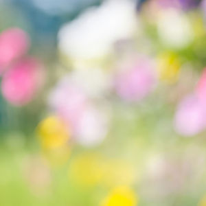 The Tapestry of Life