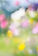 Blurred Flower Colors