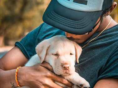 Man holding Labrador puppy