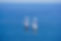 Sailing