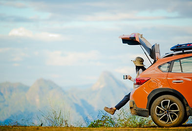 Traveler in Motion