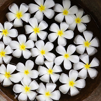 flower water