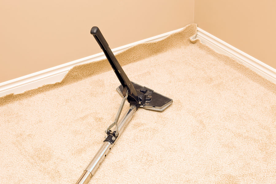 A carpet stretcher tool is being used on beige carpet