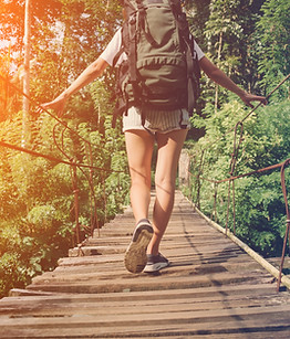 Wood Bridge Wandelen