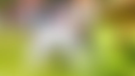 treat for dental care