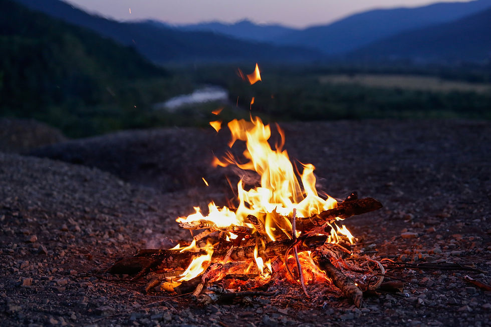 Campfire In Wilderness