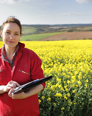 Farmer in Field