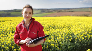 Spring Hazards in Arkansas: How to Prepare (and Avoid Claims)