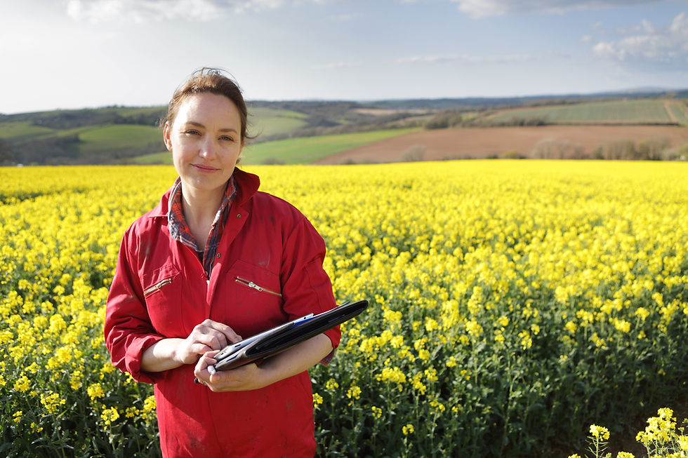 Woman in Field