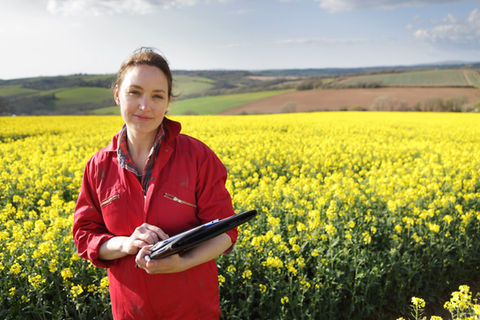 Farmer in Field
