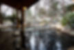 Natural Thermal Waters