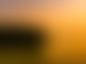 Finding Balance in a Fast Paced World