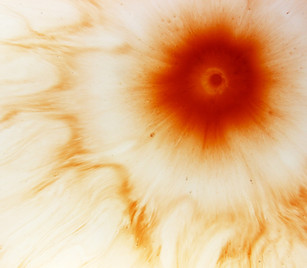 Abstract Liquid