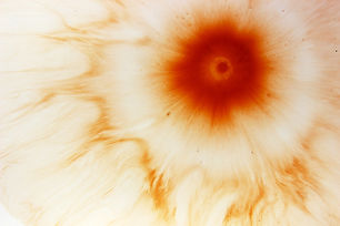 Abstract Liquid