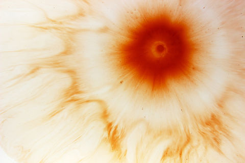 Abstract Swirling Pattern