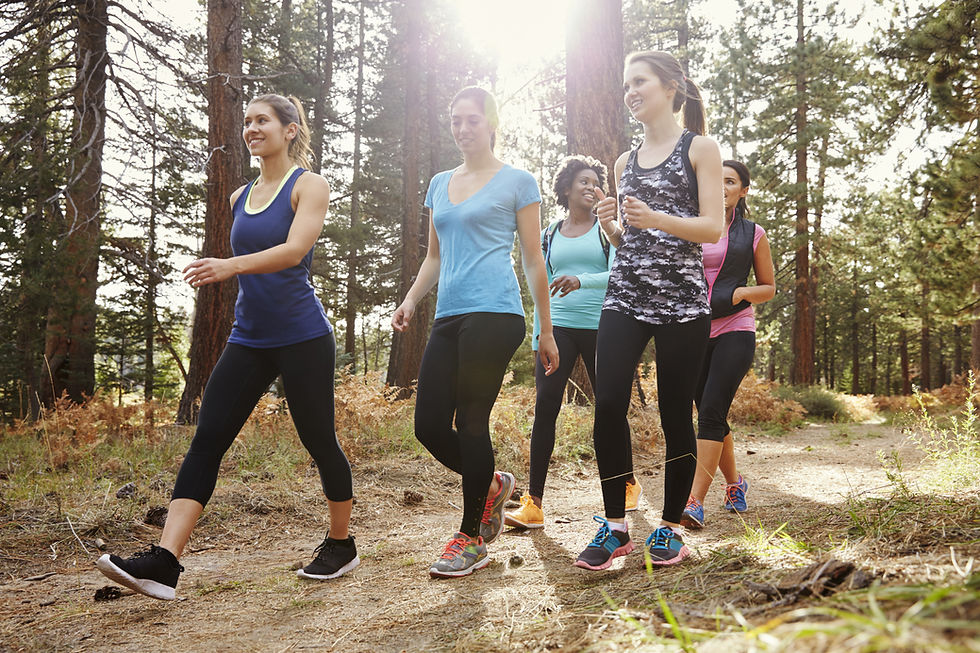 Group Hiking Outdoors