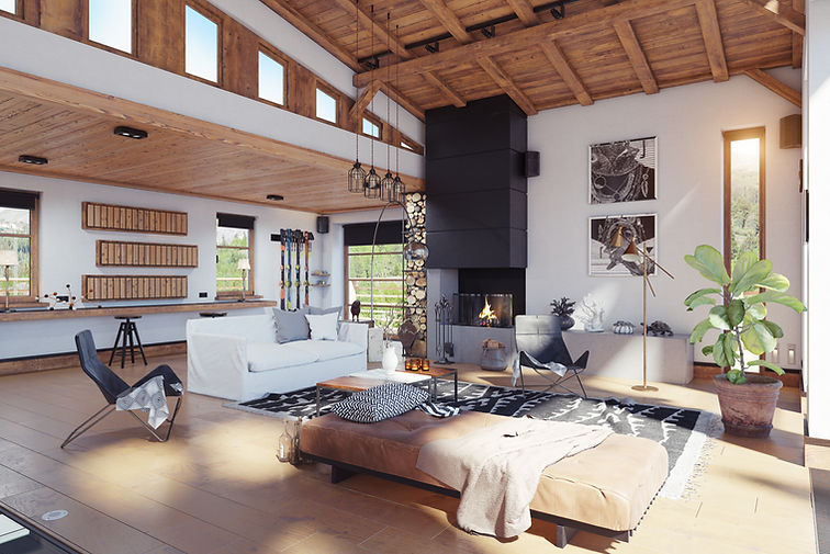 Modern Cozy Living Room