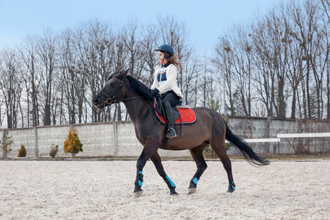 Maximizing Space in Horse Arena Designs: A Guide for Florida Horse Arenas