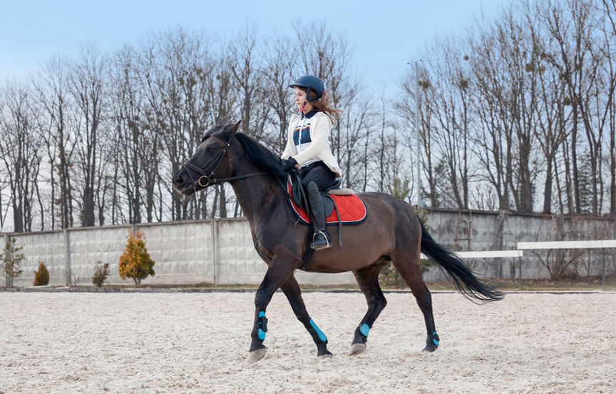 Mädchen reitet Pferd – Akupunktur bei Hunden Wirkung