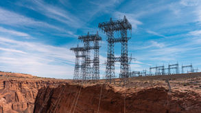 Executive Coalition Case Study