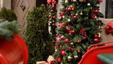 Global Celebrations of Christmas: Traditions and Gifting Trends for 2025