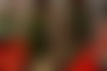 Oh To Be Wise Meditations