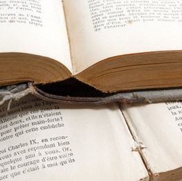 French Books
