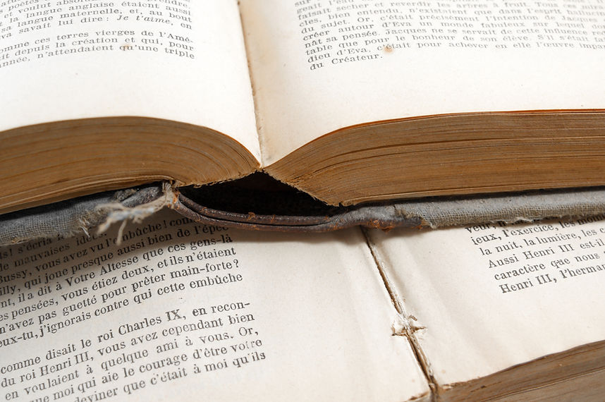 Französische Bücher