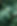 Green Leaves | Bloom & Beacon HR™