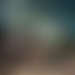 Turtles are a symbol of environmental health in Palm Beach