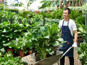 Poundbury Gardens offer exclusively for our members!