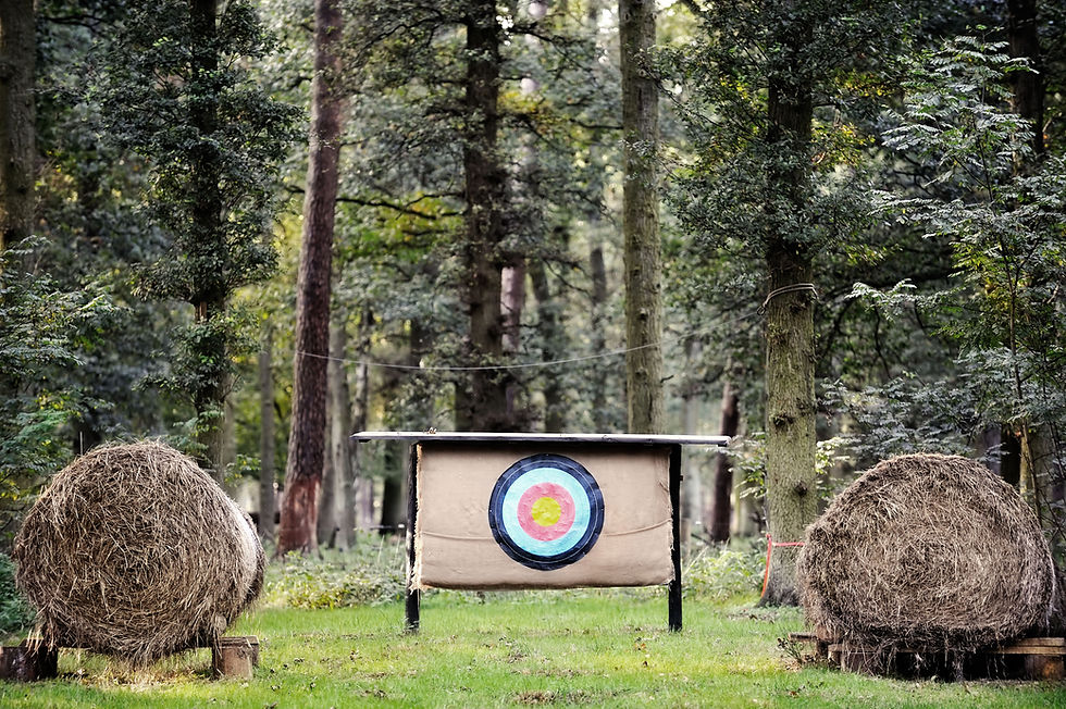 Archery Target Setup