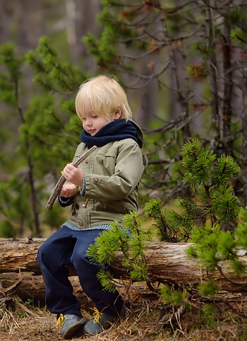 Child sitting on fallen tree