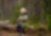 Child sitting on fallen tree