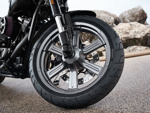 Motorcyclist dies after colliding with dog