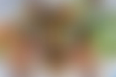 Content Strategies for Small Businesses: Engaging Your Audience and Building Brand Presence