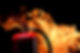 fire-extinguisher on flame background