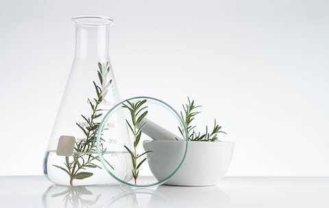 Rosemary Cosmetics